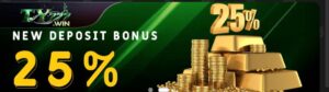 TY777 WIN Game APK