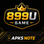899U Game Logo
