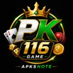 PK 116 Game Logo