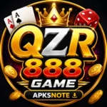 QZR 888 Game Logo
